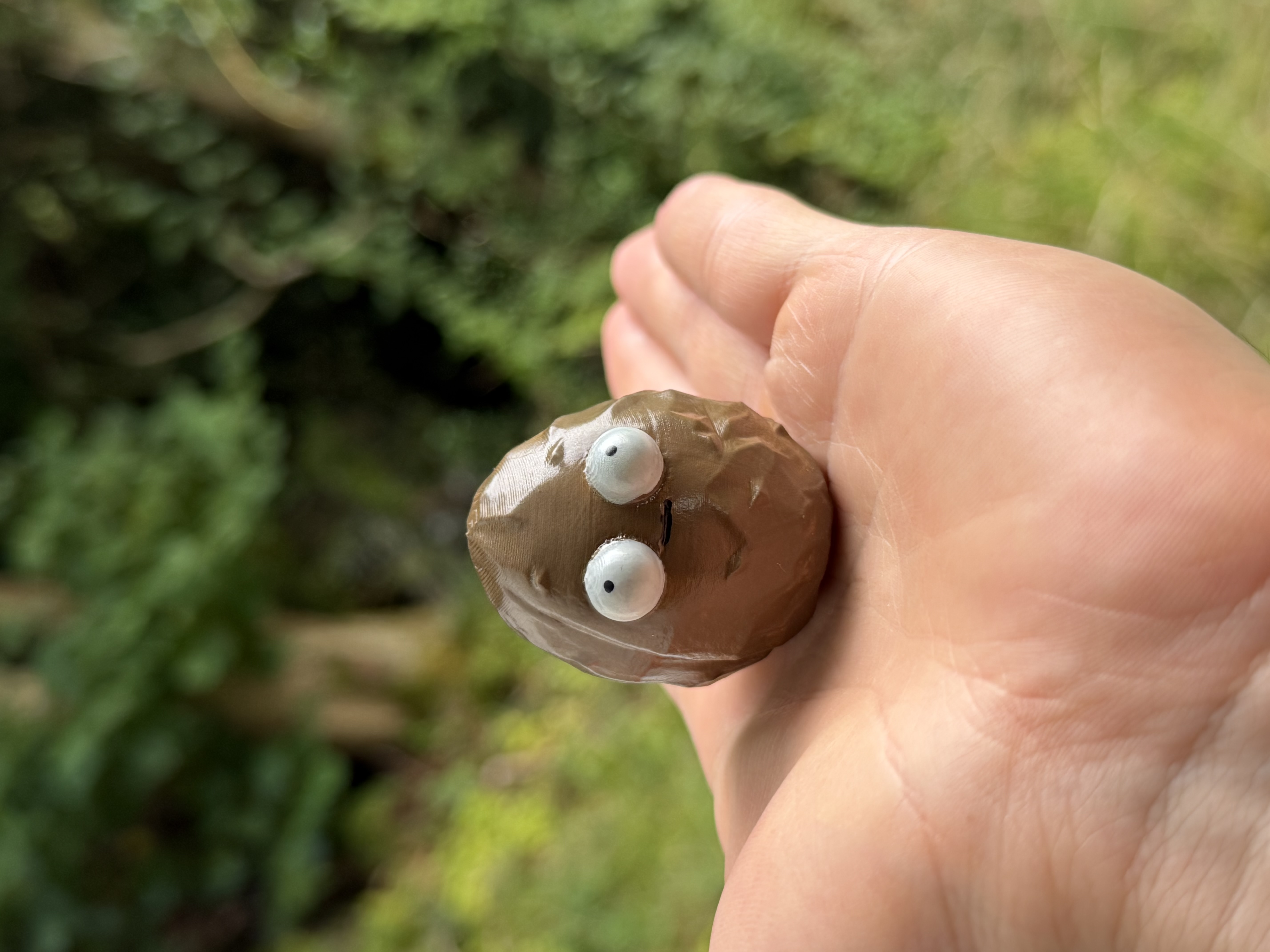 Wallnut From PvZ